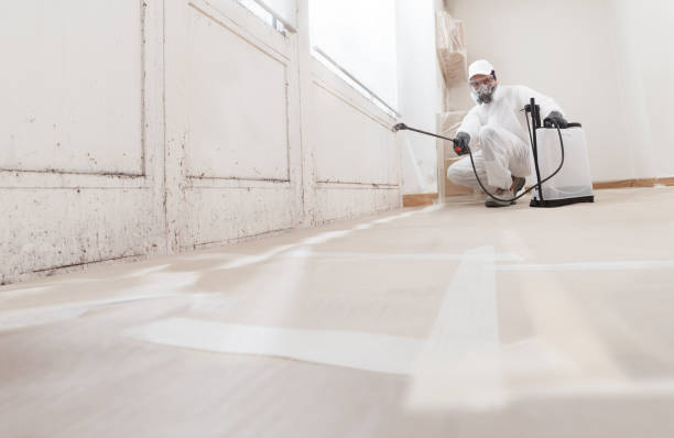 Asbestos and Lead Testing During Mold Inspection in Vassar College, NY